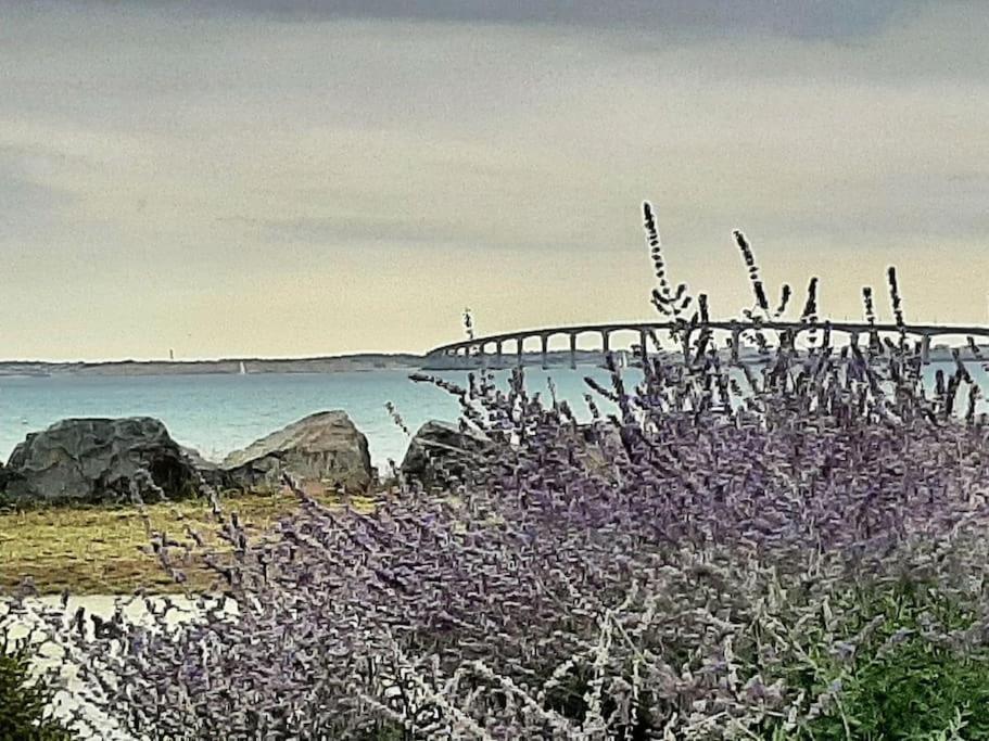 Délicieux moment de détente au coeur de Saint Martin de Ré Extérieur photo