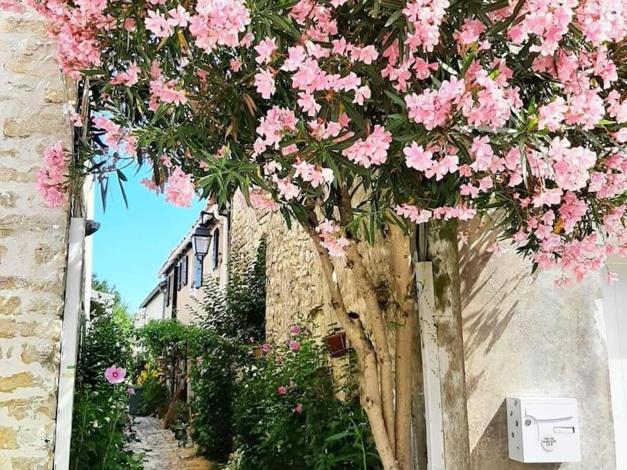 Délicieux moment de détente au coeur de Saint Martin de Ré Extérieur photo